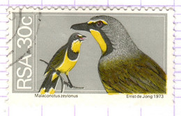 RSA+ Südafrika 1974 Mi 460 Vogel - Oblitérés