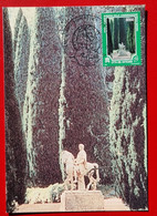 VATICANO VATIKAN VATICAN 1995 VIALE DEI CIPRESSI EQUESTRE CASTELGANDOLFO GARDENS HORSE STATUE MAXIMUM CARD - Storia Postale