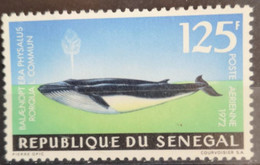 Senegal 1972 Marine Life Wal Whale Mi 505/09 Daraus 1v Säugetier - Sénégal (1960-...)