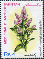 198265 MNH PAKISTAN 2001 PLANTAS MEDICINALES - Pakistan