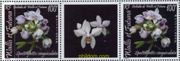 677829 MNH WALLIS Y FUTUNA 2005 ORQUIDEA - Gebruikt