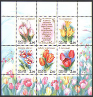 658518 MNH RUSIA 2001 TULIPANES - Gebruikt