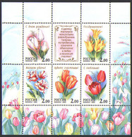 658518 MNH RUSIA 2001 TULIPANES - Used Stamps
