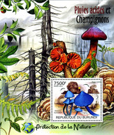 298965 MNH BURUNDI 2012 SETAS - Oblitérés