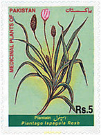 94062 MNH PAKISTAN 1999 PLANTAS MEDICINALES DE PAKISTAN - Pakistan