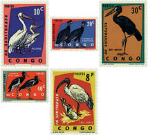 655815 MNH CONGO EX-BELGA 1963 PROTECCION DE LAS AVES - Autres & Non Classés