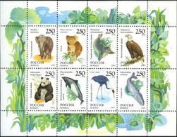 145443 MNH RUSIA 1993 FAUNA DEL MUNDO - Gebruikt