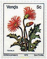 681874 MNH VENDA 1979 FLORES - Venda