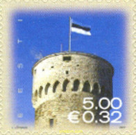 198949 MNH ESTONIA 2007 BANDERA NACIONAL - Châteaux