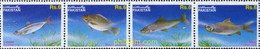 135882 MNH PAKISTAN 1995 PECES - Pakistan