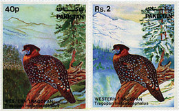 35533 MNH PAKISTAN 1981 PROTECCION DE LA NATURALEZA - Pakistan