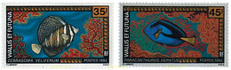 45873 MNH WALLIS Y FUTUNA 1993 FAUNA MARINA - Usados