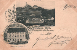 Germany - Burg Hornberg - Gruss Von Der Steinbacher Mühle - 1900 - RARE! - Hornberg