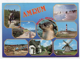 AK 118426 GERMANY - Amrum - Nordfriesland