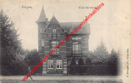 Villa Des Bluets - Edegem - Edegem