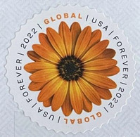 VERINIGTE STAATEN ETATS UNIS USA 2022 AFRICAN DAISY USED ON PAPER SC 5680 YT 5514 - Used Stamps