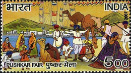 INDIA 2007 FAIRS OF INDIA / PUSHKAR MELA 1v Stamp MNH, As Per Scan P.O Fresh & Fine - Carnaval