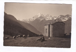 CARTE PHOTO : 14 X 9   -  Hannigalp  Ob  Grächen, Weisshorn - Bieshorn - Barrhörner - Grächen