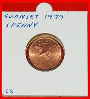 * GREAT BRITAIN (1977-1981): GUERNSEY  1 PENNY 1979 BU! ELIZABETH II (1953-2022) IN HOLDER! LOW START · NO RESERVE! - Guernesey