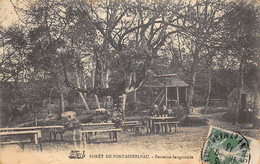 Fontainebleau           77         Fontaine Sanguinède            (voir Scan) - Fontainebleau