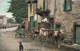 France - Montferrand - Le Retour De La Vendange - Colorisé - Boeuf - Attellage - Animé - Carte Postale Ancienne - Clermont Ferrand