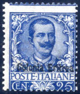 * 1903, Floreale 25 C. Azzurro Con Soprastampa "Colonia Eritrea", Nuovo Con Gomma Originale E Leggerissima Traccia Di Li - Eritrea