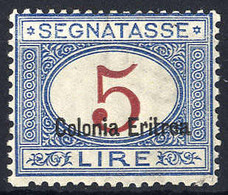 ** 1920, Segnatasse 5 Lire, Gomma Integra, S.22 - Eritrea