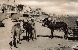 La Baule * Les Plaisirs De La Plage * Les ânes * Attelage âne - La Baule-Escoublac