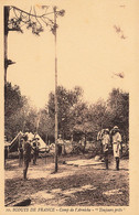 Scoutisme * Scouts De France * Camp De L'arnèche * Toujours Prêts ! * Jamborée - Scoutismo