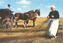 Katwijk Aan Zee, Mensen En Paarden Op Het Wantsveld      (Een Raster Op De Kaart Is Veroorzaakt Door Het Scannen) - Katwijk (aan Zee)