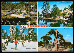 Cyprus 1971 / Troodos, Multi View, Summer, Winter, Skiing, Fereos Cafe - Chypre