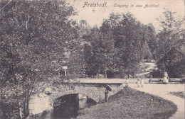 FREISTADT - OB. - OEST.1906,CIRCULATED. - Freistadt