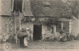 Folklore - Scène Champêtre Du Centre De La France - Ramasseuse D'herbes - Le Retour à La Ferme  - Carte Postale Ancienne - Personnages