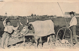 Folklore - En Bearn - La Vie Aux Champs - La Halle - N.D. Phot. - Boeuf - Attelage - Carte Postale Ancienne - People