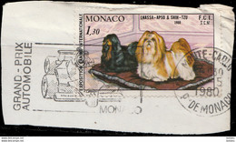 Monaco 1980. ~ YT 1232 - Lahssa Apso Et Shin-Tzu - Usados