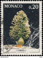 Monaco 1980. ~ YT 1256 - Pteroides - Used Stamps