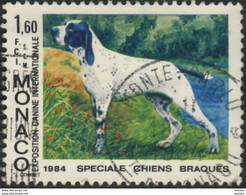 Monaco 1984. ~ YT 1425 - Braque D'Auvergne - Used Stamps