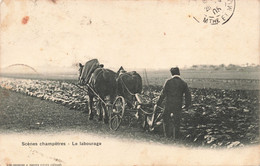 Folklore - Scène Champêtre - Le Labourage - Edit. Breger Frères - Attelage - Carte Postale Ancienne - People