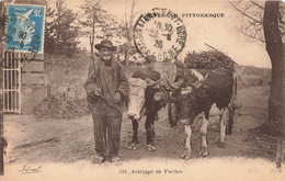 Folklore - L'auvergne Pittoresque - Attelage De Vaches - Edit. Ideal - Béguin - Oblitéré 1926 -  Carte Postale Ancienne - Personnages