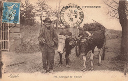 Folklore - L'auvergne Pittoresque - Attelage De Vaches - Edit. Ideal - Béguin - Oblitéré 1926 -  Carte Postale Ancienne - Personaggi