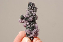 Elbaite + Lepidolite, Brazil: 390 Euros - 50 % - Minéraux
