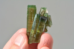 Elbaite Tourmaline Melon D'eau (watermelon Tourmaline): 390 Euros - 50 % - Minéraux