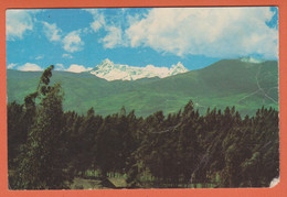 ÉQUATEUR - ÉCUADOR - SUD AMERICA - El Altar Embellece La RégIòn Andina - L'autel Embellit La Région Des Andes - Equateur