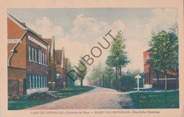 Postkaart/Carte Postale - Leopoldsburg - Camp De Beverloo - Chaussée De Diest (C3684) - Leopoldsburg (Camp De Beverloo)