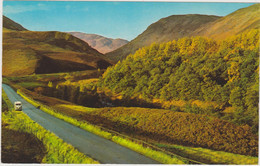 ROYAUME-UNI ECOSSE PERTHSHIRE THE SMA' GLEN. - Perthshire