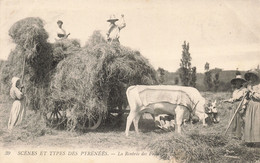 Folklore - Scènes Et Types De Pyrénées - La Rentrée Des Foins - Boeuf - L.L. -  Carte Postale Ancienne - Personaggi