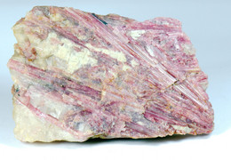 Mineral - Tormalina Rubellite (Minas Gerais, Brasile) - Lot. 986 - Minéraux