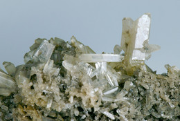 Mineral - Gesso Coda Di Rondine (Racalmuto, Agrigento, Sicilia, Italia) - Lot. 989 - Minéraux
