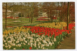 AK 118507 NETHERLANDS - Lisse - Keukenhof - Lisse