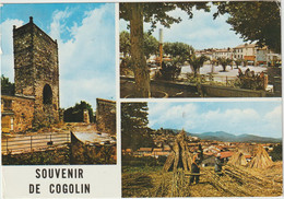 Var :  COGOLIN    : Vues 1968 - Cogolin